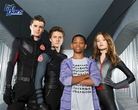 lab rats